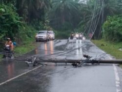 Listrik Kaur Padam Lagi, Ini Penyebabnya