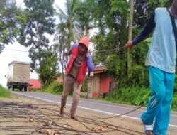 Kabel Obtik Yang Ditanam Di Desa Lawe Kelabu Kini Menuai Perhatian Dari Banyak Kalangan