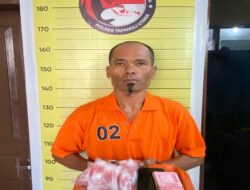 Polres Taput Ringkus Pengedar Narkotika Jenis Sabu Dari Pahae Julu