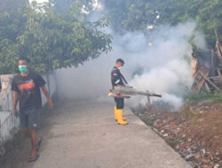 Antisipasi DBD Meluas, DKPPKB Bursel Lakukan Penyemprotan