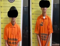 2 Pengguna Narkoba Jenis Ganja Berhasil Di Tangkap Sat Narkoba Polres Taput
