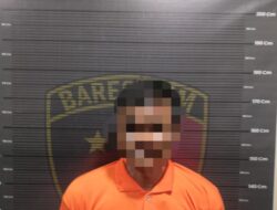 Ayah 6 Anak Pelaku Cabul Terhadap Anak Di Bawah Umur Di Tangkap Sat Reskrim Polres Taput