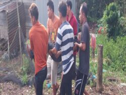 Polisi Selidiki Aksi Nekat Gantung Diri Seorang Bapak Di Pohon Karet Dikecamatan Garoga Taput