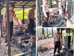 2 Unit Rumah Semi Permanen Ludes Terbakar Di Adiankoting Taput