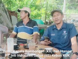 Lapor Pak Bupati Pelalawan,,!! Diduga PT Inti Indosawit Subur (IIS) Pekerjakan Orang Tampa Hak Dan Jaminan Keselamatan