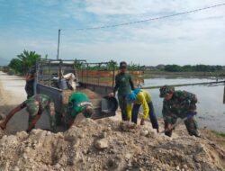Droping Tanah urug tidak ada kendala, Proses Finishing Pengurugan Berm Terus Berjalan