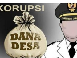 Anggaran Dana Desa Tahun 2023 Desa Tanjung Sari Kecamatan Buay Pemaca Diduga Mark’up