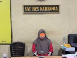 Sungguh Tak Diduga, Perempuan Ini Ditangkap Personil Polres Rohul Dalam Kepemilikan 40 Paket Sabu