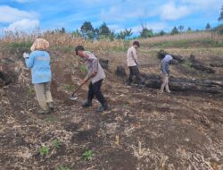 Dukung Ketahanan Pangan Nasional, Polsek Laguboti Laksanakan Penanaman Bibit Jagung
