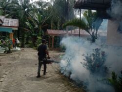 Woow …Program Fogging Dilaksanakan Di Desa Silau Padang