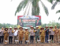 Launching Penanaman Jagung Serentak 1 Juta Hektar Dihadirin Kapolres Tebing Tinggi