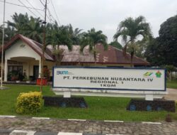 PTPN IV Regional I Melakukan Hak Jawab Terhadap Berita Pemukulan Dan Pemborgolan Terhadap  Syahdan Saragih