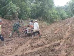 Satgas TMMD Ke-123 Kodim 0416/Bute Bantu Petani Keluar Dari Jalan Berlumpur