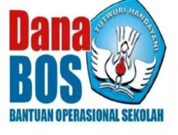 Diduga Korupsi Dana BOS Dan DACIL Kasek SD Negeri 078464 SD Foikhu Fondako Berinisial RZ Akan Dilaporkan Ke POLISI