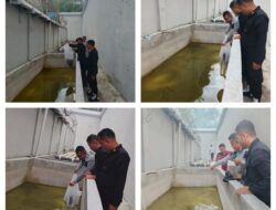 Dukung Program Ketahanan Pangan, Rutan Tarutung Tabur 2.000 Benih Ikan Nila