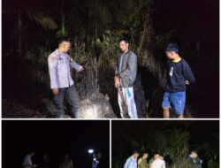 Enam Orang Personil Polsek Lolowau Di Perintahkan Kapolsek Atasi KARHUTLA Di Desa Sambulu Ulunoyo