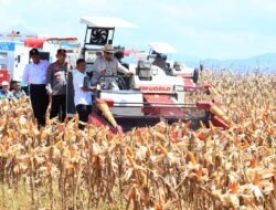 Presiden Prabowo Bahagia Bisa Panen Raya Jagung Bersama Polri