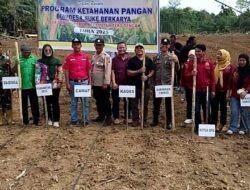 Kades Sungai Keruh Alifman Dukung Program Ketahanan Pangan Nasional BUMDES Suke Berkarya 