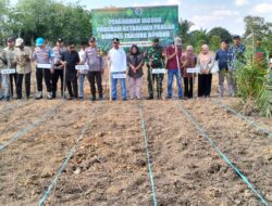 Program Ketahanan Pangan BUMDES Tanjung Bungur Desa Mangun jayo Resmi Digelar