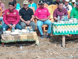 Kades Sungai Keruh Alifman Melalui Sekdes Satria, S.Sos Dukung Ketahanan Pangan Nasional