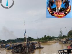 Aktivitas PETI Merajalela Aparat Penegak Hukum Berdiam Diri Tutup Mata Tutup Telinga