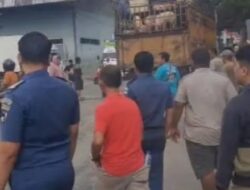 Drama Aksi Koboi Di Pelabuhan Gunungsitoli, Truk Pembawa Babi Nyaris Tabrak Petugas