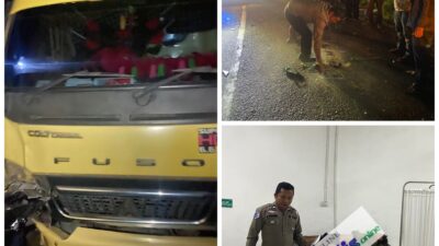 Truck Colt Diesel Hantam Pengendara Motor, 3 Kakak Beradik Tewas