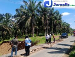 Menejemen Distrik 1 Gunung Pemela Disambut Baik Oleh Christine Belinda Naomi Tambunan. SH Sebagai APK Kebun Gunung Menaco