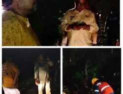 Gerak Cepat… Pohon Tumbang Menutup Jalan Raya, Bupati Aceh Tenggara Turun Langsung Ke Lokasi