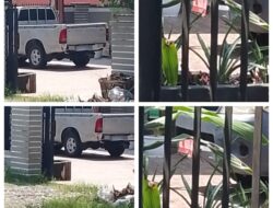 Diduga Mobil Dinas Di Buat Penghias Halaman Rumah Pejabat, Tanpa Memikirkan Kerusakannya