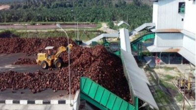 Dampak Lingkungan Yang Signifikan Akan Terjadi Dua Pabrik Kelapa Sawit Dalam Dua Dusun