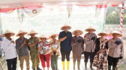 Kapolres Toba Bersama Forkompinda Laksanakan Penanaman Jagung Serentak Kuartal I Tahun 2026