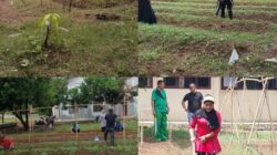 Kadis Pangan Gelar Program Kebun B2SA, Manfaatkan Lahan Kosong Menjadi Produktif