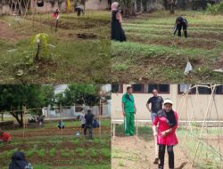 Kadis Pangan Gelar Program Kebun B2SA, Manfaatkan Lahan Kosong Menjadi Produktif