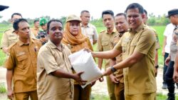 Wabup Adlin Tambunan Serahkan Bantuan Ke Korban Angin Puting Beliung Di Perbaungan
