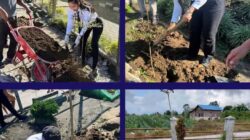 Tanam Ketapang Kencana, Tunas Muda Pemasyarakatan Rutan Humbahas Wujudkan Lingkungan Sehat