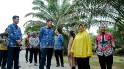 Wabup Sergai Adlin Tambunan Tinjau Peningkatan Jalan Di Dua Kecamatan: Kualitas Dan Ketepatan Waktu Jadi Prioritas Utama